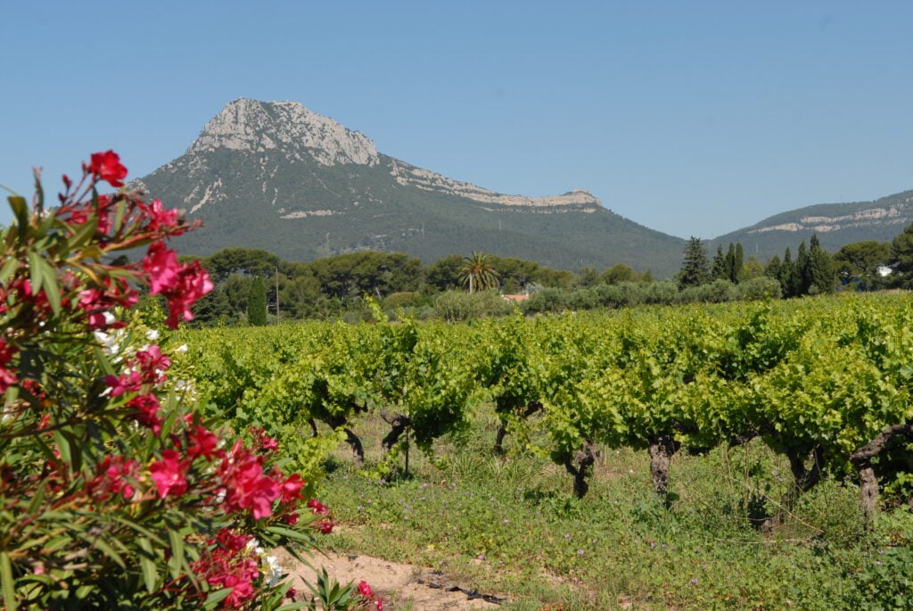 Domaine Bouisse-Matteri